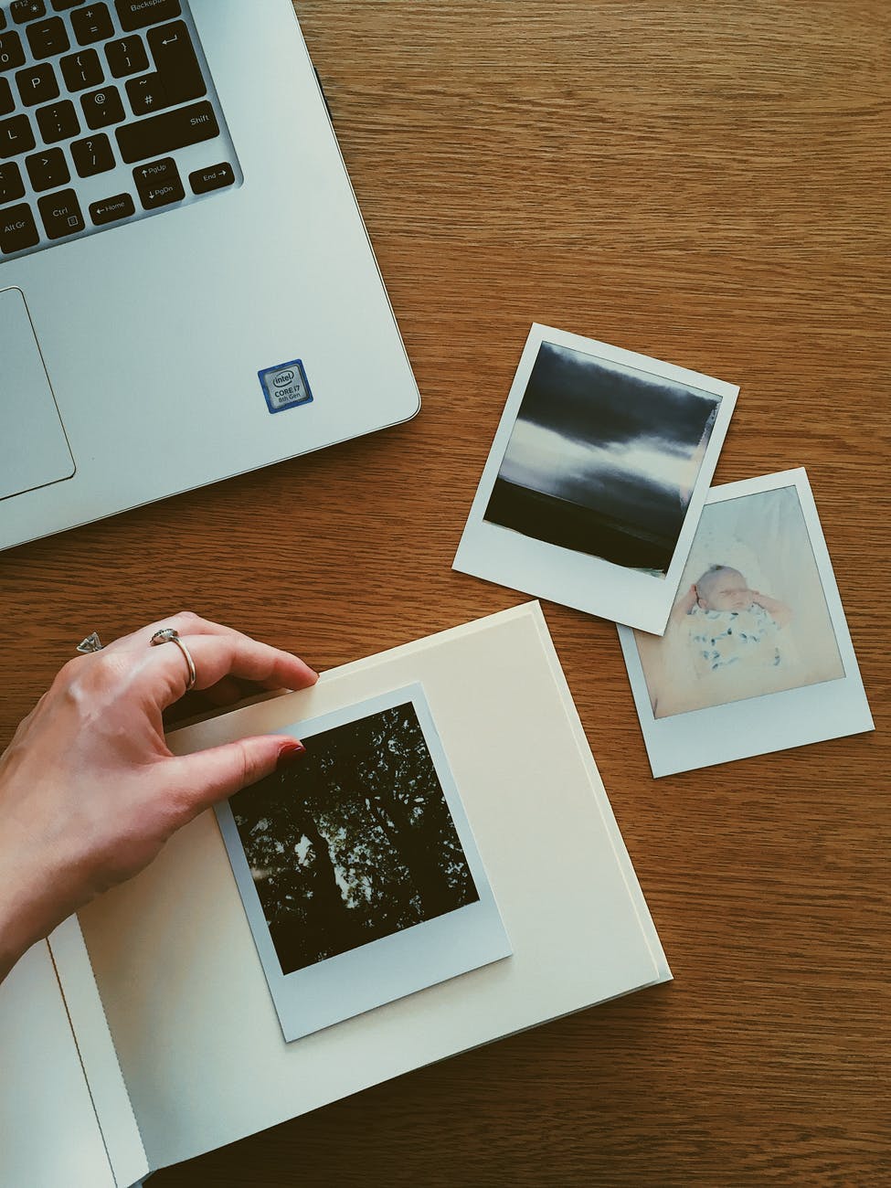 person holding photo of plant