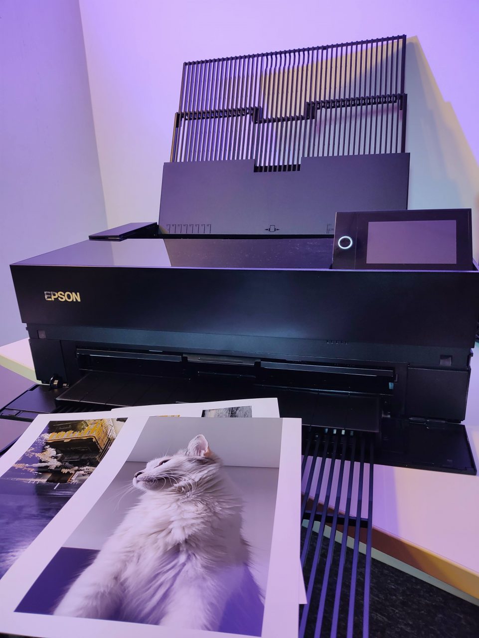 epson-p900-review-como-se-diferenciar-com-decora-o-fotografia-e